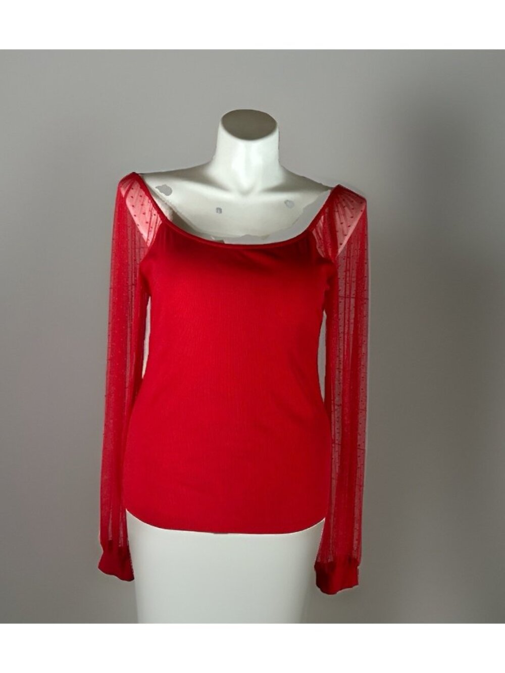Dorose Red Long Sleeve Top Women's XXL Sheer Swiss Dot Long Sleeve Round neck
